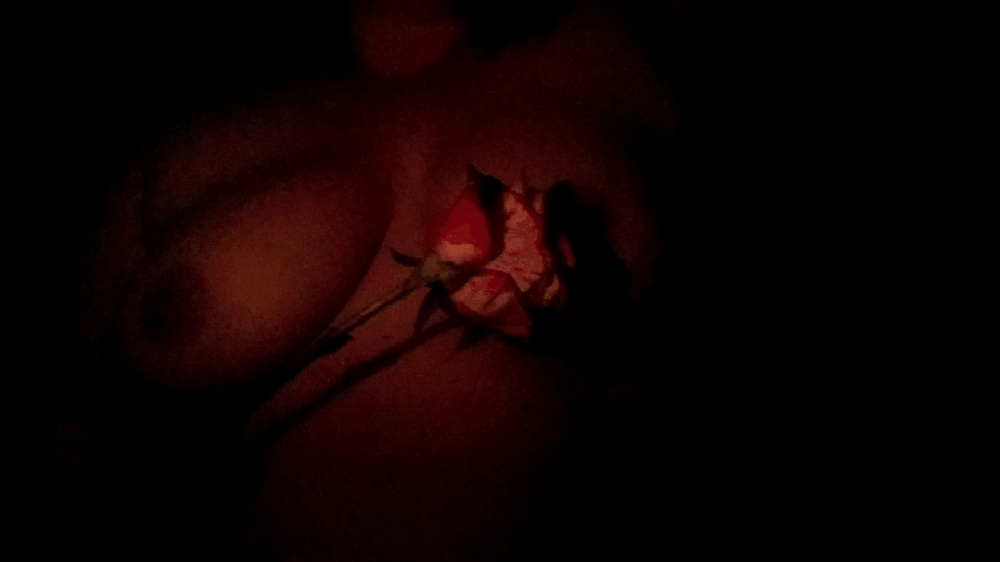 Pink rose pulled across woman's breasts in candlelight